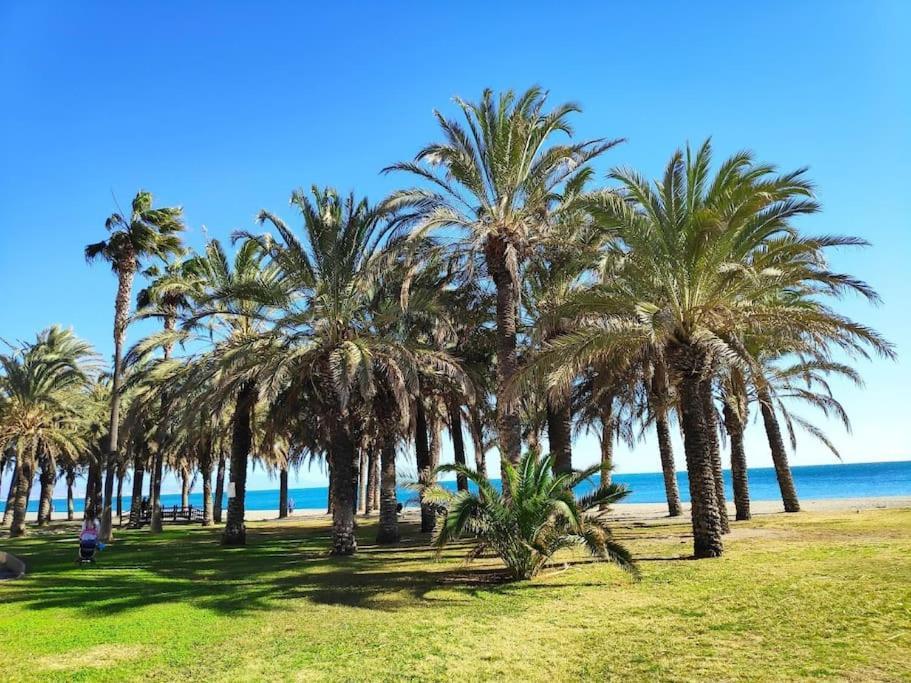 Playamar Lejlighed